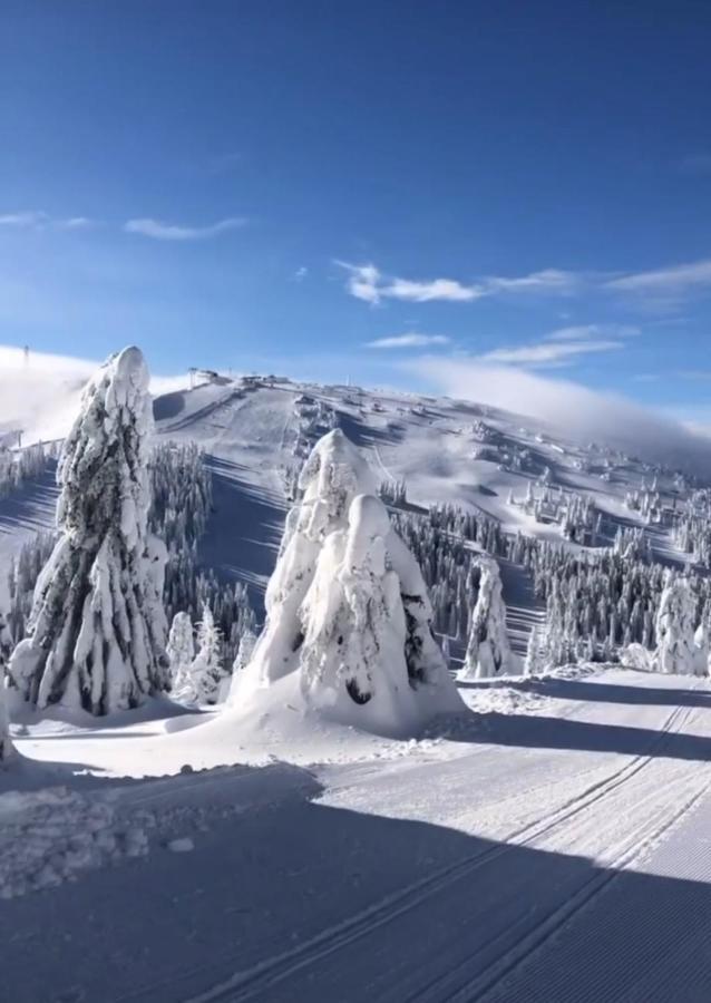 Sunny Kop Cardaci Lejlighed Kopaonik Eksteriør billede